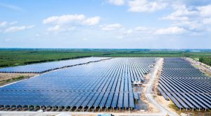 Investing In Solar Energy Gains Massive Profit